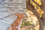 Gutter Cleaning Importance for Florida Homes
