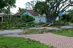 Storm Damage Coverage in Florida Homeowners' Insurance - What's Included?